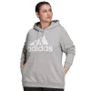 Plus Size adidas Graphic Fleece Hoodie