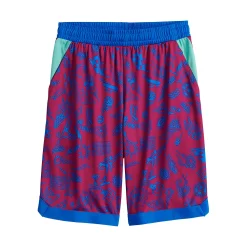 Boys 8-20 Tek Gear® Dry Tek Printed Shorts in Regular & Husky -Active & Workout Clothes Store 5214960 Berry Doodle
