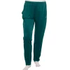 Big & Tall Champion® City Sport Pants