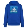 Boys 8-20 adidas Graphic Hoodie -Active & Workout Clothes Store 5558653