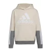 Boys 8-20 adidas Colorblock Fleece Hoodie 2 Boys 8-20 adidas Colorblock Fleece Hoodie -Active & Workout Clothes Store 5558719 Alumina S20
