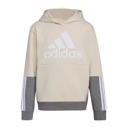 Boys 8-20 adidas Colorblock Fleece Hoodie