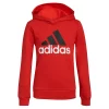 Boys 4-7 adidas Essential 22 Hoodie -Active & Workout Clothes Store 5563345