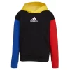 Boys 4-7 adidas Freestyle hoodie