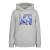 Boys 4-7 Under Armour Mountain Logo Graphic Hoodie -Active & Workout Clothes Store 5620881 Mod Gray