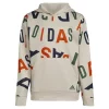 Boys 8-20 adidas Lineage Love Hoodie -Active & Workout Clothes Store 5679133 Alumina