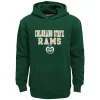 Boys 8-20 Colorado State Rams Team Slogan Fleece Hoodie -Active & Workout Clothes Store 5947687