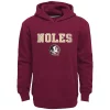 Boys 8-20 Florida State Seminoles Team Slogan Fleece Hoodie -Active & Workout Clothes Store 5947789